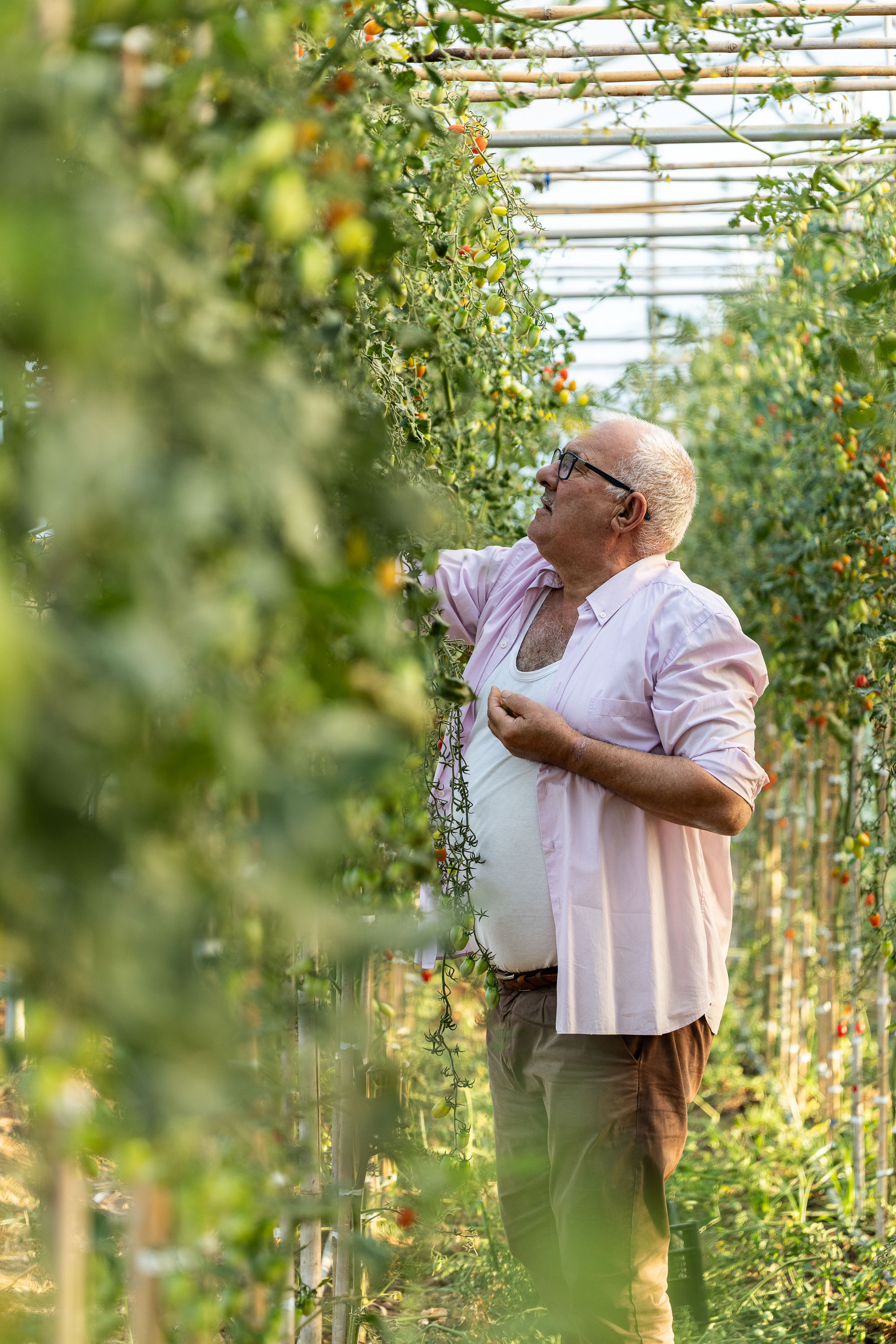 L'azienda agricola tra gli ulivi